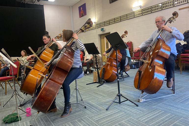 The Mahler Orchestra